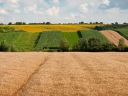 За март на Николаевщине продано 350 гектар земли сельхозназначения