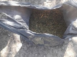В Баштанке полиция изъяла у местного жителя марихуаны на 100 000 гривен, - ФОТО