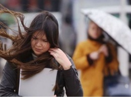 Осторожно, сильный ветер: украинцев предупредили об ухудшении погоды 21 апреля