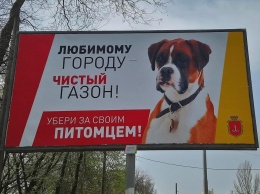 В Одессе на билбордах призывают убирать за своим питомцем
