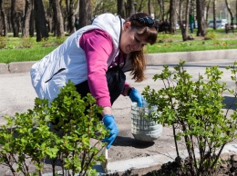 Чистые "Сосенки": в Днепре убрали парк Писаржевского