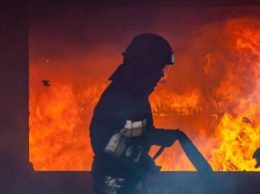 Возможно поджог: пламя охватило 8 магазинов в Днепре