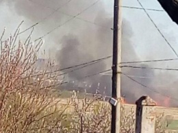 В Мариуполе горел камыш около нефтебазы (ФОТО)