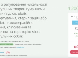 4,2 миллиона собирается потратить Департамент ЖКХ на отлов и стерилизацию 2,7 тысяч бездомных собак в Николаеве