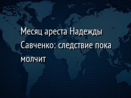 Месяц ареста Надежды Савченко: следствие пока молчит