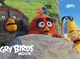 Известна дата выхода нового фильма по мотивам Angry Birds