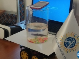 Украинская школьница изобрела способ управлять роботом с помощью обычной рыбки