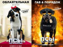 Гарик Харламов и Кристина Асмус заговорят по-собачьи