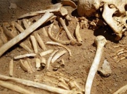 В Черниговской области обнаружили человеческие останки