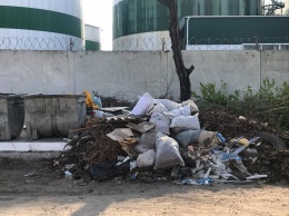 Жительница Николаева две недели просит убрать мусорную свалку, которая периодически возникает на одном и том же месте