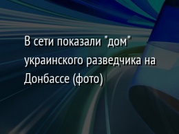 В сети показали "дом" украинского разведчика на Донбассе (фото)