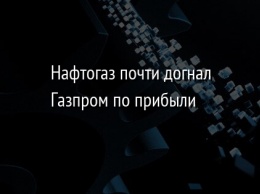 Нафтогаз почти догнал Газпром по прибыли