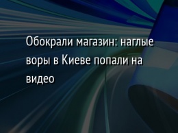 Обокрали магазин: наглые воры в Киеве попали на видео