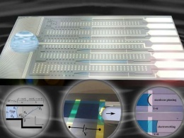 Представлены электропорталы для управления микрожидкостями