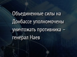 Объединенные силы на Донбассе уполномочены уничтожать противника - генерал Наев