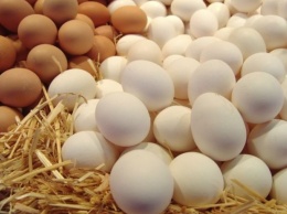 Европа предпочла украинские яйца завезенным из США