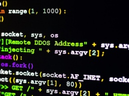 Полиция накрыла крупнейший сервис для заказных DDoS-атак