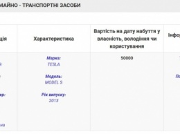 Киевская коммунальщица задекларировала как подарок "дешевенькую" Tesla