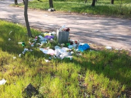 «Обидно смотреть»: николаевец пожаловался на мусорную свалку прямо в Парке Победы