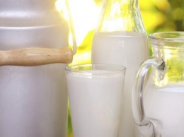 Депутаты Сумского облсовета обратились к Гройсману с просьбой отложить введение новых стандартов качества молока