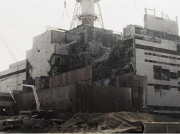 Мутанты Чернобыля: радиация изувечила людей и животных до неузнаваемости. ФОТО