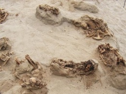 В Перу археологи нашли массовое захоронение принесенных в жертву детей