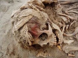 В Перу нашли огромный могильник детей и лам, принесенных в жертву древним богам