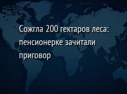 Сожгла 200 гектаров леса: пенсионерке зачитали приговор