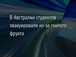 В Австралии студентов эвакуировали из-за гнилого фрукта