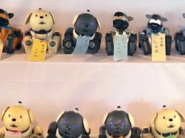 В Японии провели панихиду для роботов-собак