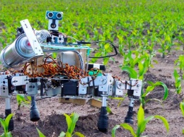 Человек не нужен: какие роботы заменят человека в сельском хозяйстве