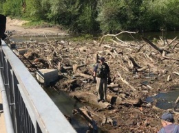 Спасатели расчищают мост в Рубежном от поваленных деревьев