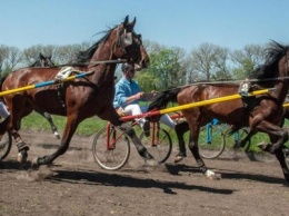 В Миргородском районе состоялся ежегодный конно-спортивный праздник (фото и видео)
