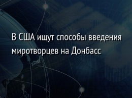 В США ищут способы введения миротворцев на Донбасс