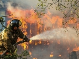 Лесные пожары на Днепропетровщине: спасатели локализуют возгорания