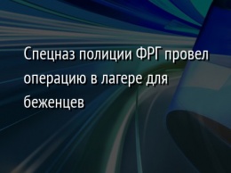 Спецназ полиции ФРГ провел операцию в лагере для беженцев