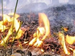 Жителей Луганской области предупредили о повышенной пожароопасности