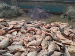 40 тыс. грн. штрафов, почти 2 тыс. сетей, 13 лодок и 2 мотора: кременчугская водная полиция ведет борьбу с браконьерами (ФОТО)