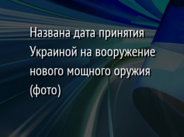 Названа дата принятия Украиной на вооружение нового мощного оружия (фото)