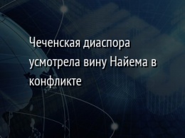 Чеченская диаспора усмотрела вину Найема в конфликте