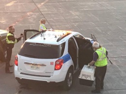 В аэропорту Торонто енот застрял в вентиляции самолета, рейс задержали на шесть часов