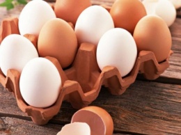 Украинские яйца оказались круче «ЛДНРовских»