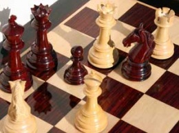 Самбо и шахматы. Что запланировано в Славянске на субботу