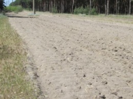 В Николаеве, чтобы уберечь "Балабановское" от пожаров, администрация создала 80 км минерализованных полос, - ФОТО