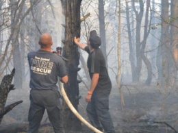 Пожар в лесу возле военного полигона в Черниговской области ликвидировали