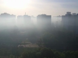 Виноградарь в Киеве затянуло густым смогом и едким дымом