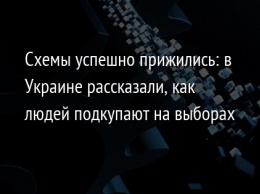 Схемы успешно прижились: в Украине рассказали, как людей подкупают на выборах