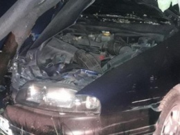 В Мариуполе пьяный водитель влетел в дерево и разбил авто (ФОТО)