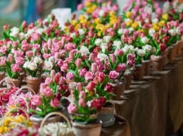 Жители Славянска просят перенести цветочный рынок и сделать набережную