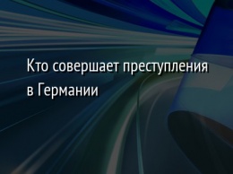 Кто совершает преступления в Германии